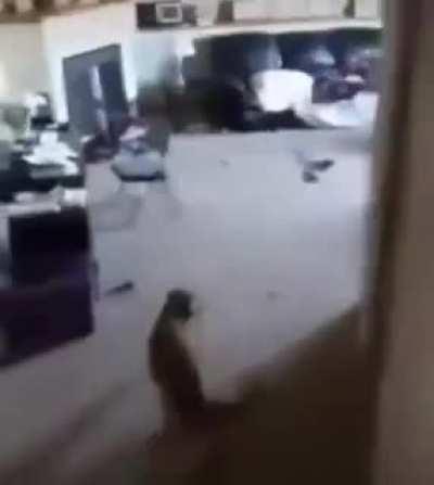 Перегрузка