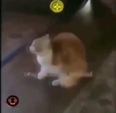 These situations are tense