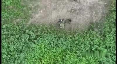 Grenade was dropped by drone while soldier was taking a dookie