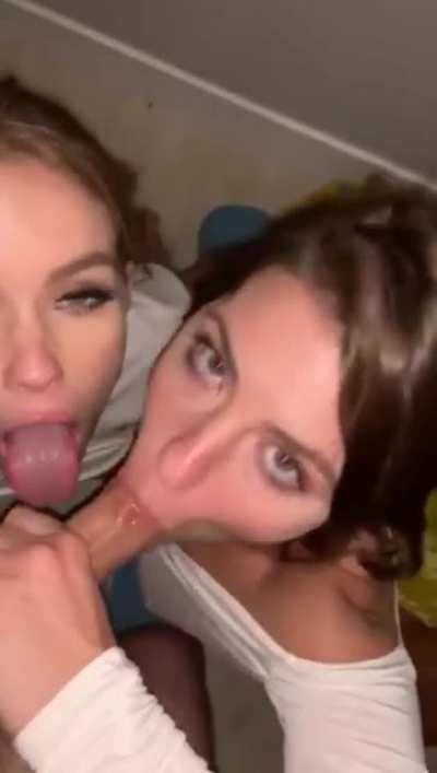 They are a lot of trouble