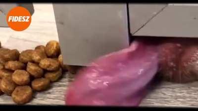 Birtokomba került a Fidesz, országgyűlési választásra készülő kampányfilmje.