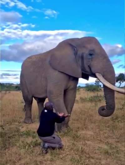 Wunkus tasted. Wunkus didn’t like. 