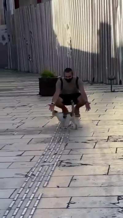 This is the MOST cat thing ever! 😂