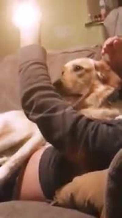 SicKO GuY lAuNcHes an atoMIc boOmb on pOoR doG