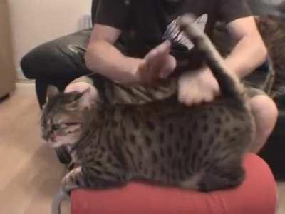 His technique is a little unorthodox