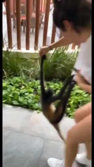 This is how you get monkeypox