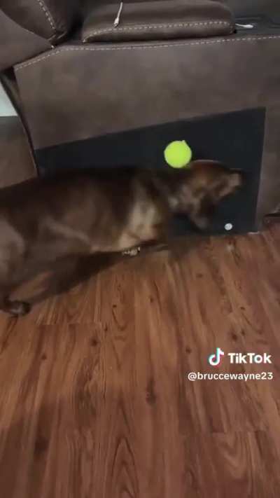 The Old Razzle Dazzle