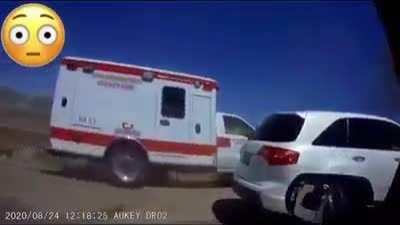 Xpost from r/publicfreakout