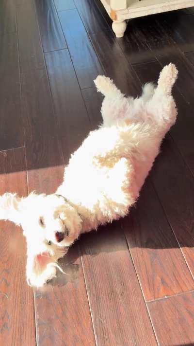 What a Cute Smile 🥰