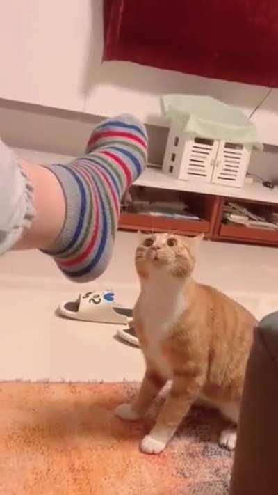 He mustered all his courage for the attack