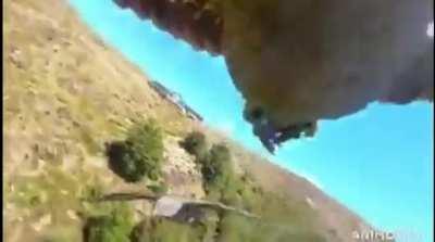 Bird takes off with a Camera and turns into a drone