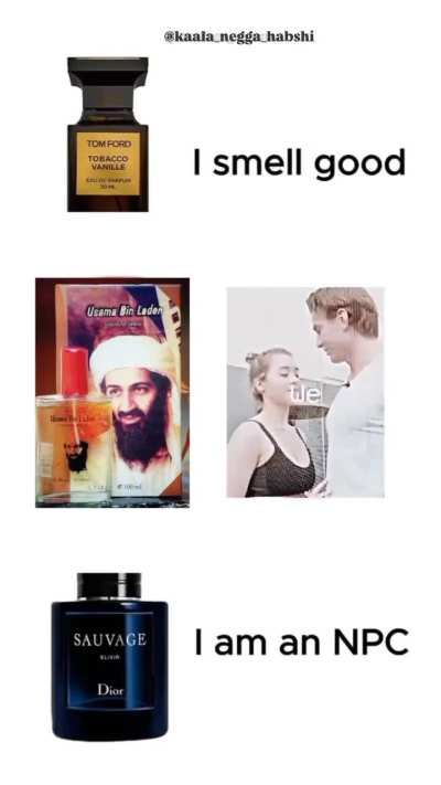 Real (I hope shitpost is allowed in here)