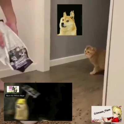 BBS in a nutshell with the 