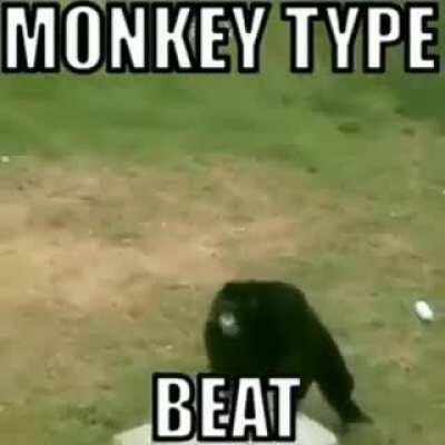 MONKEY TYPE BEAT