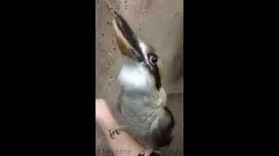 Летающий Skrillex