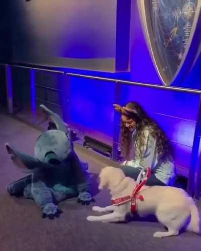 Met your favorite character