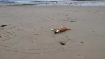 Fetching like a true derp