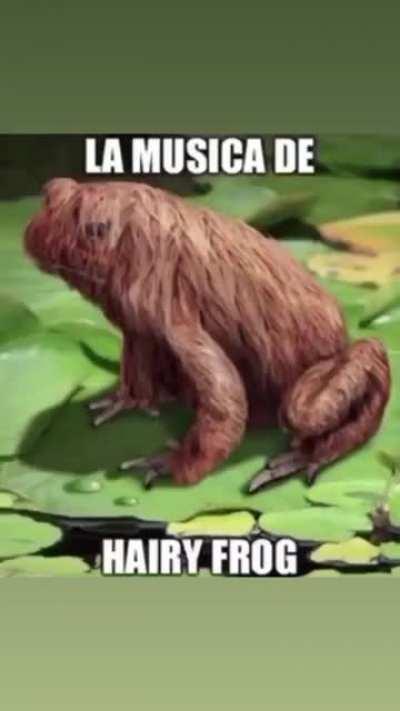 The funniest shit I’ve seen all day 💀