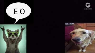 butter dog sings the box (check out on yt too)