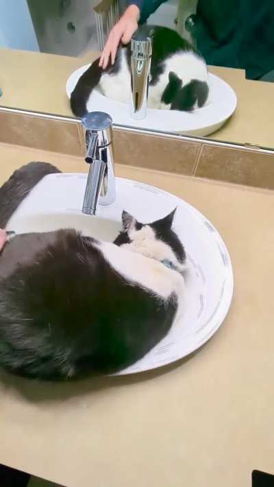 Jimmy loves sink bongos.