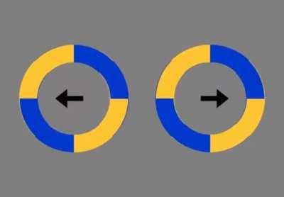 The circles are stationary