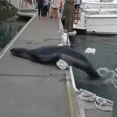 Let's Get It Started