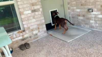 They grow up so fast