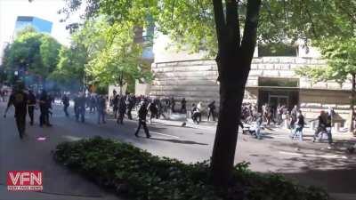 Antifa vs MAGA 300 person street brawl