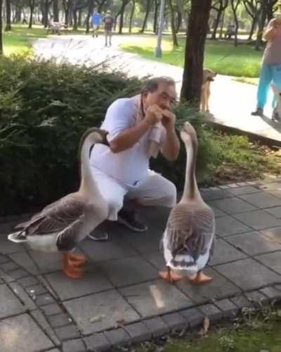 I will sing you the song of my people