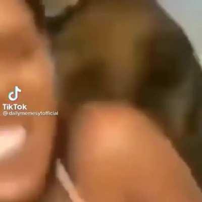 Nooooohhh... gatito basado