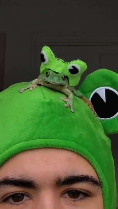 Frog Hat!
