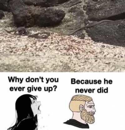 This unironically motivates me more than most stuff 