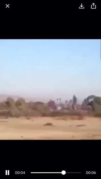 Thanks, I hate plane squirrels