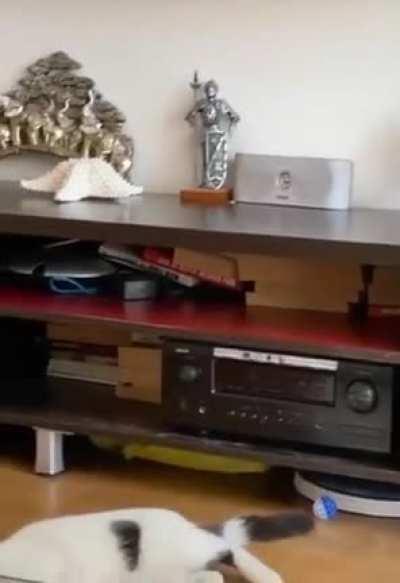 Program Crashes While Running