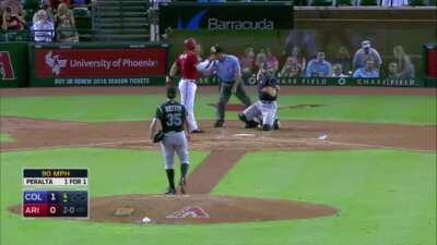 Sorority Girls At A MLB Game