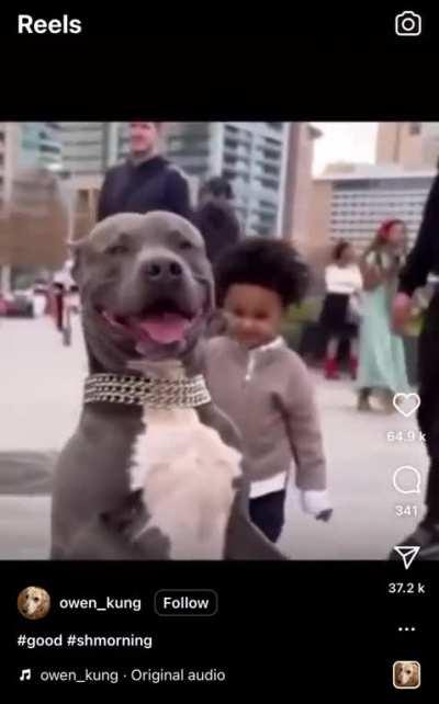 Cupcake 💀👍🏻