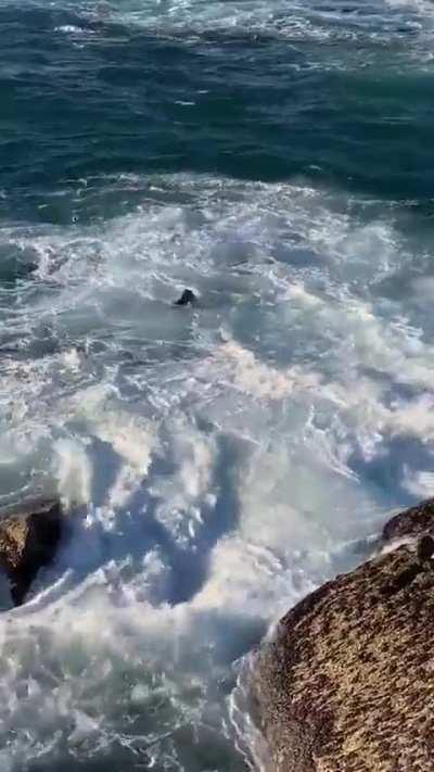 F**k this guy, say waves