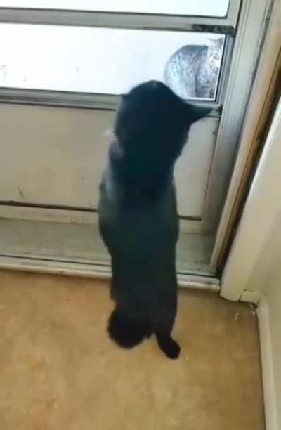 There is no such thing as being overly dramatic