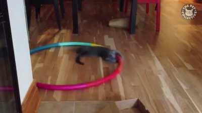 C@ loading icon / busy icon