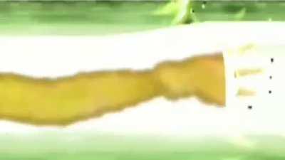 You guys have to see this LOL