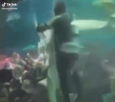 Tiriritiri tiriririti