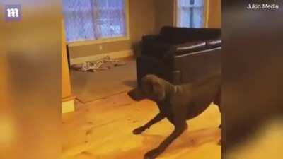 “I guess that’s how we walk now”