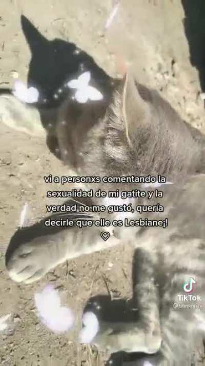 de verded que fuerte que ne sepen le sexualided de su gatite