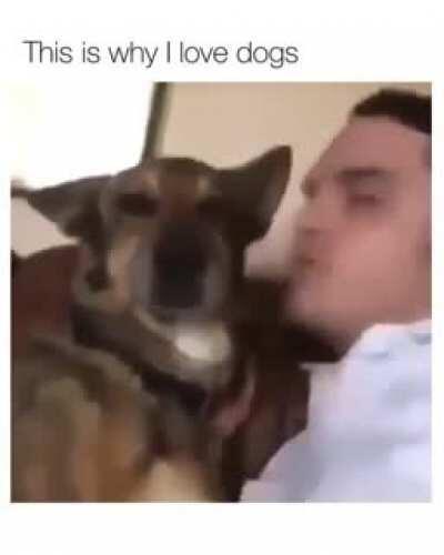 This is why I love dogs