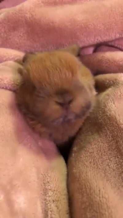 ✨ Rise and shine ✨