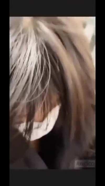 Despierten soldados nos invaden 