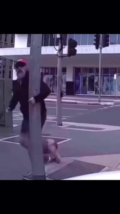 Getting angry at a driver and not looking where you’re walking