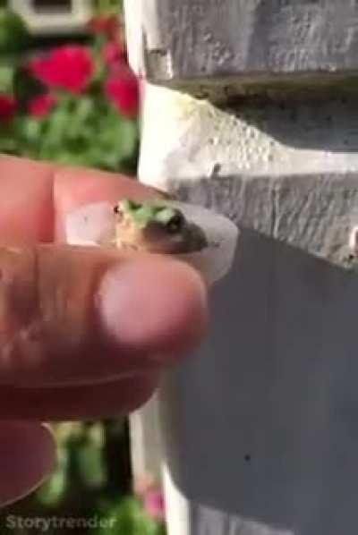 can we make him a member?