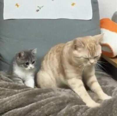 Learning from the master