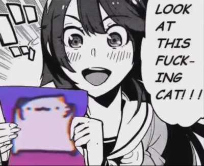 Cat credit: Cuptoast. Meme idea: Pale_Many_4005. All of blinding lights with a dancing cat